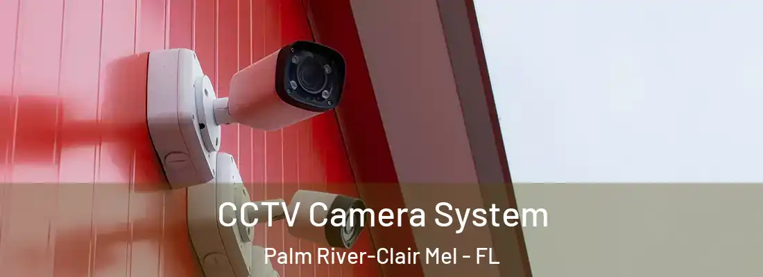  CCTV Camera System Palm River-Clair Mel - FL