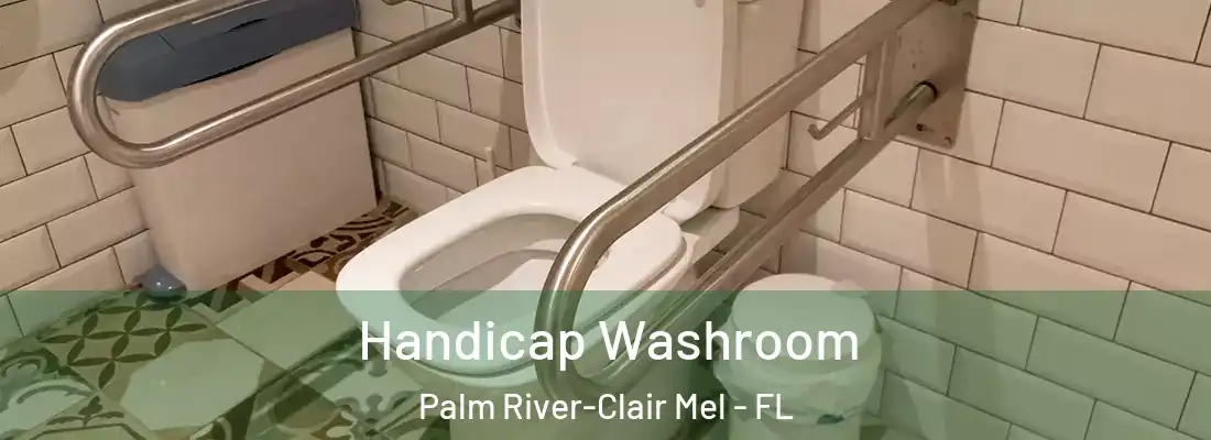  Handicap Washroom Palm River-Clair Mel - FL