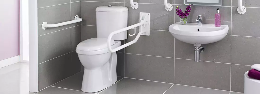 Modern Handicap Bathroom Solutions with Safety Features in Palm River-Clair Mel, FL