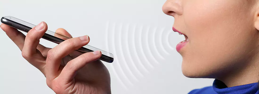 Residential and Commercial Voice Recognition Access Solutions in Palm River-Clair Mel, FL